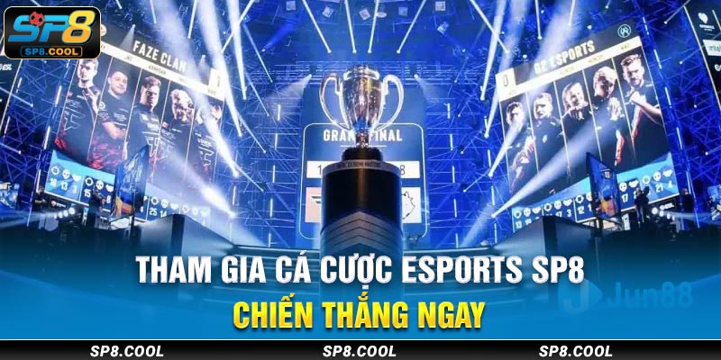 Chiến thắng cá cược Esports SP8 ngay hôm nay