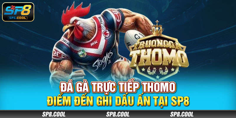 Đá Gà Trực Tiếp Thomo – Điểm Đến Ghi Dấu Ấn Tại SP8