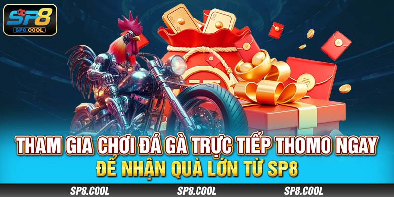 Tham gia chơi đá gà trực tiếp Thomo ngay để nhận quà lớn từ SP8